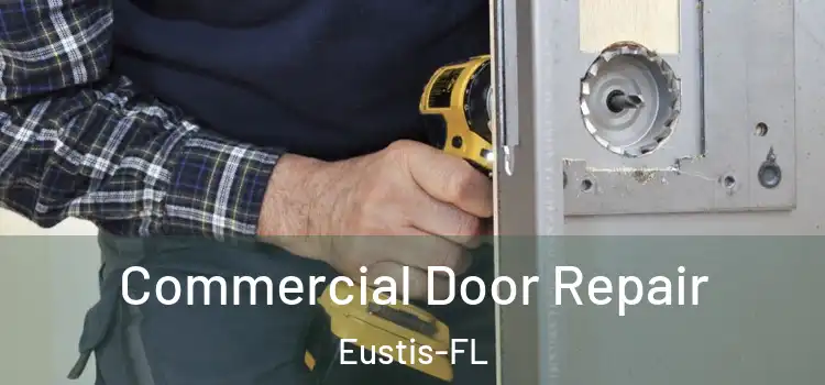  Commercial Door Repair Eustis-FL