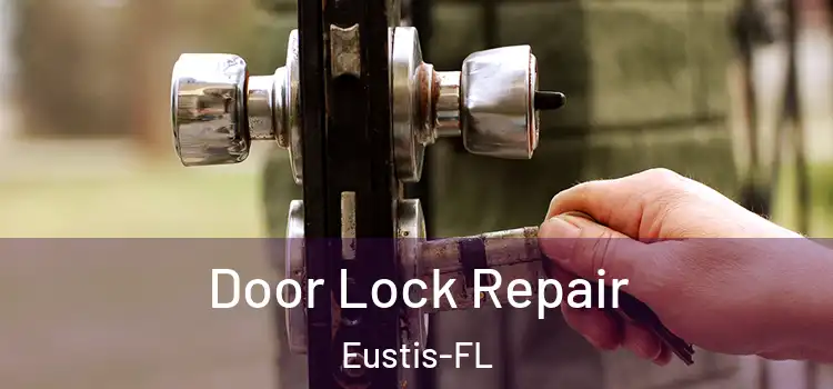 Door Lock Repair Eustis-FL