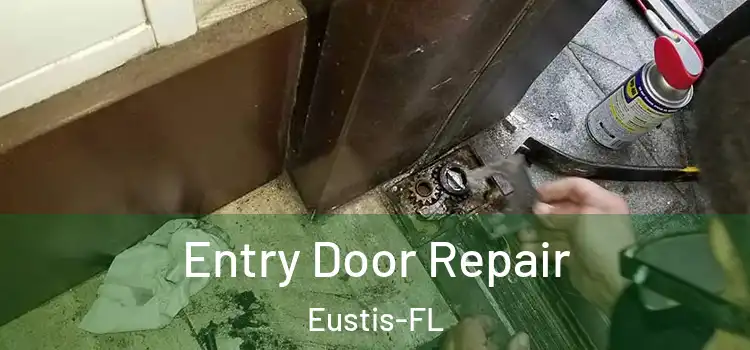Entry Door Repair Eustis-FL