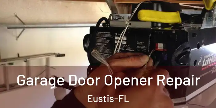 Garage Door Opener Repair Eustis-FL
