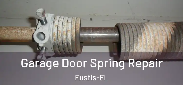Garage Door Spring Repair Eustis-FL