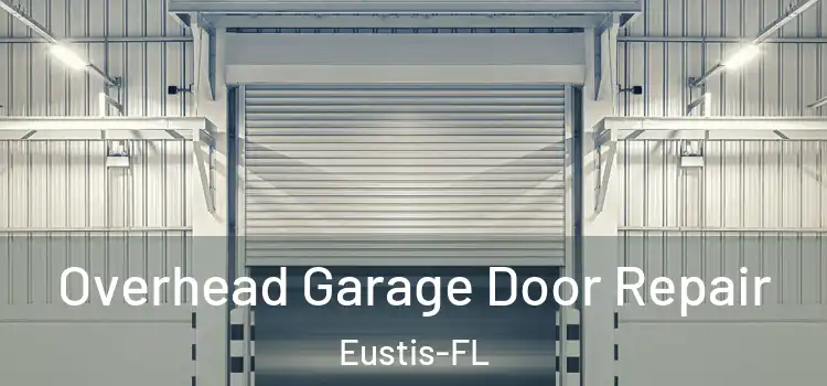 Overhead Garage Door Repair Eustis-FL
