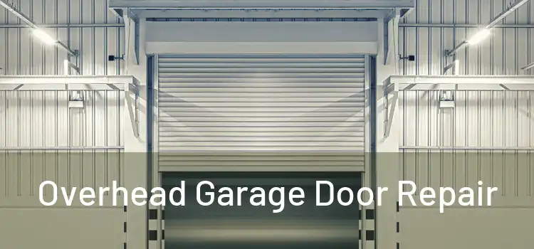 Overhead Garage Door Repair